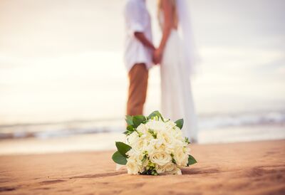 Wedding Venues In Vero Beach Fl The Knot