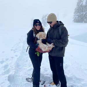 Gallery Photo 22