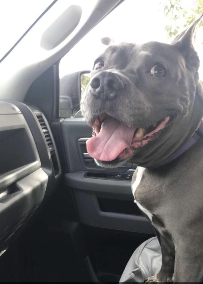 We became a family of 3 when Sable came to live with us!