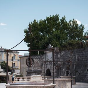 Gallery Photo 194
