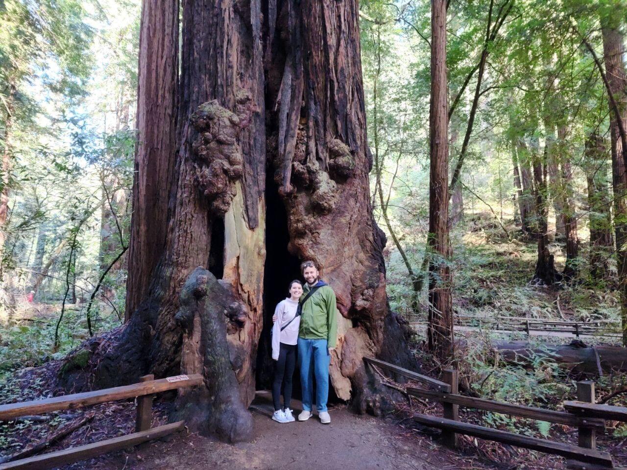 Their next trip brought Alexis and Logan to San Francisco, California. Here, they explored the Golden Gate Bridge, the "Full House" house, Muir Woods, and went to a Golden State Warriors Basketball Game to see Logan's celebrity twin, Steph Curry, play (he was unfortunately out due to an injury). 