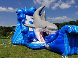 Party Pros Inc - Party Inflatables - Conover, NC - Hero Gallery 3