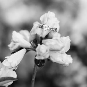 Gallery Photo 60