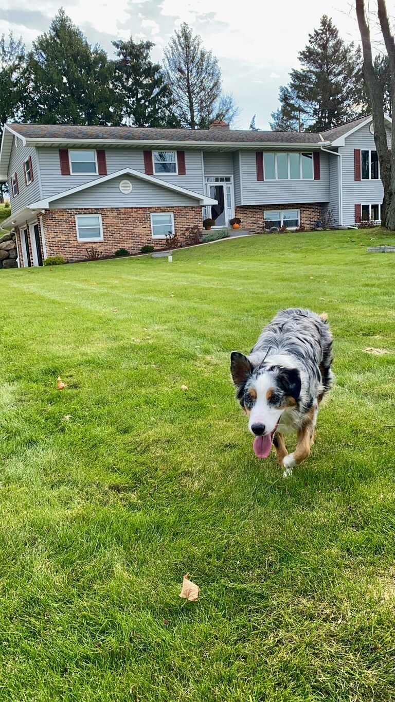 We bought our house!