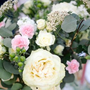 Gallery Photo 27