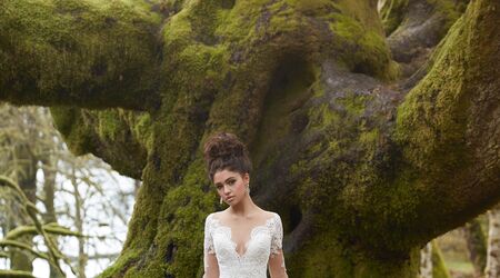 Dior Bridal Salon - Dress & Attire - Dearborn, MI - WeddingWire