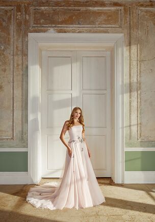 English Net A-Line Gown with Butterfly Appliqués and Dropped Waistline