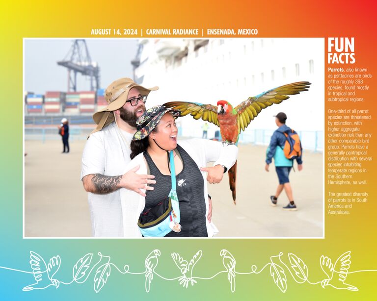 Zach and I enjoyed our first big vacation together! We met up with some of my best friends in California and then went on both of ours very first cruise!