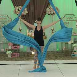 Colleen Sands Aerialist, profile image