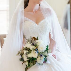 Gallery Photo 31