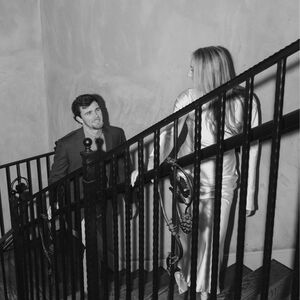 Gallery Photo 22