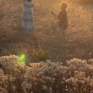 Gallery Photo 14