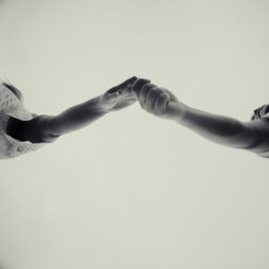 Gallery Photo 41