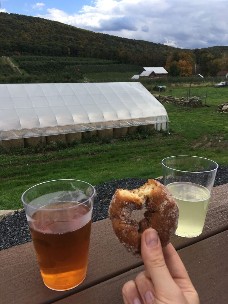In the fall of 2018 we started one of many traditions after we discovered the best hot apple cider donuts at Minard Farm in Highland, NY. We would order a dozen donuts and eat them while enjoying the gorgeous view. This past year Minard Farm closed. Perhaps it was the universe telling us to cut it out with the annual donut binge fest. 
