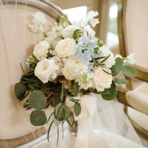 Gallery Photo 459