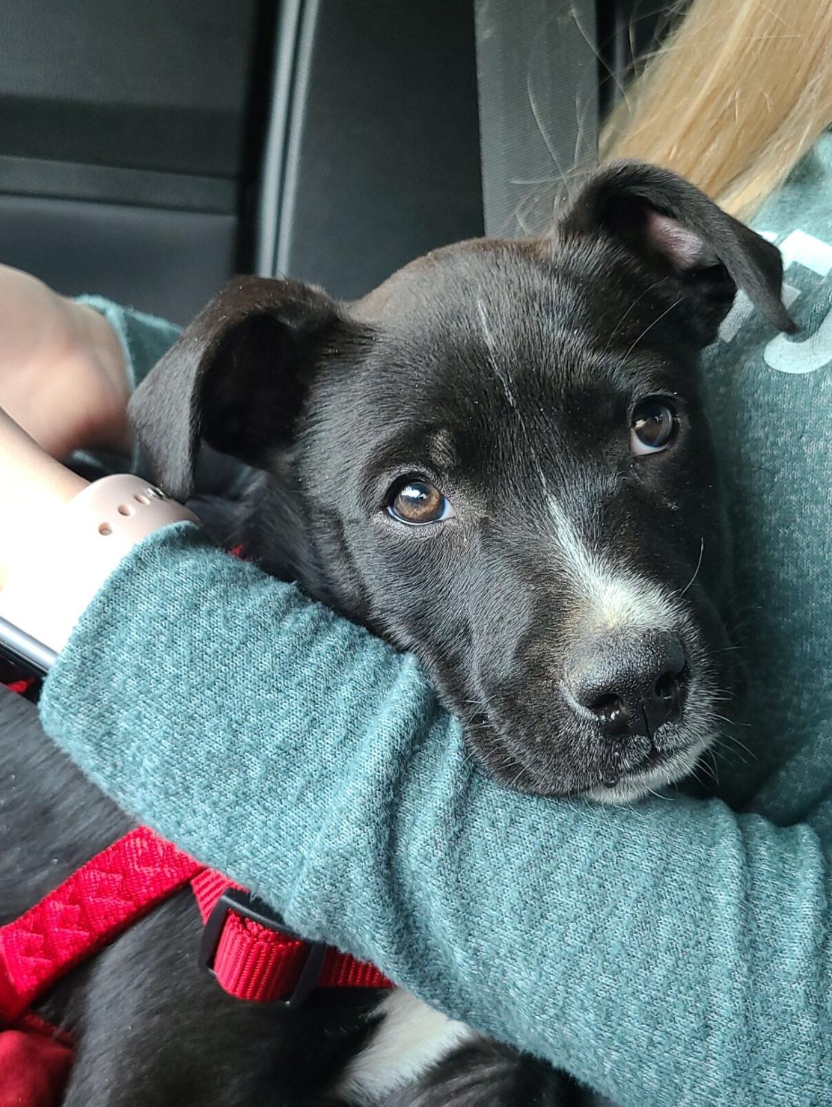 Little did they know that this would be the first of many weekends spent together. 