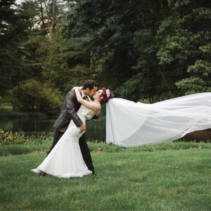 Gallery Photo 67