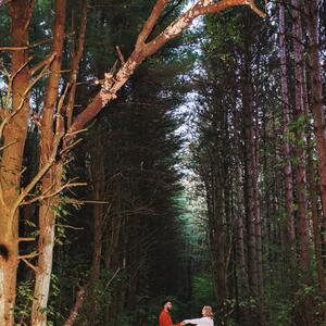Gallery Photo 59