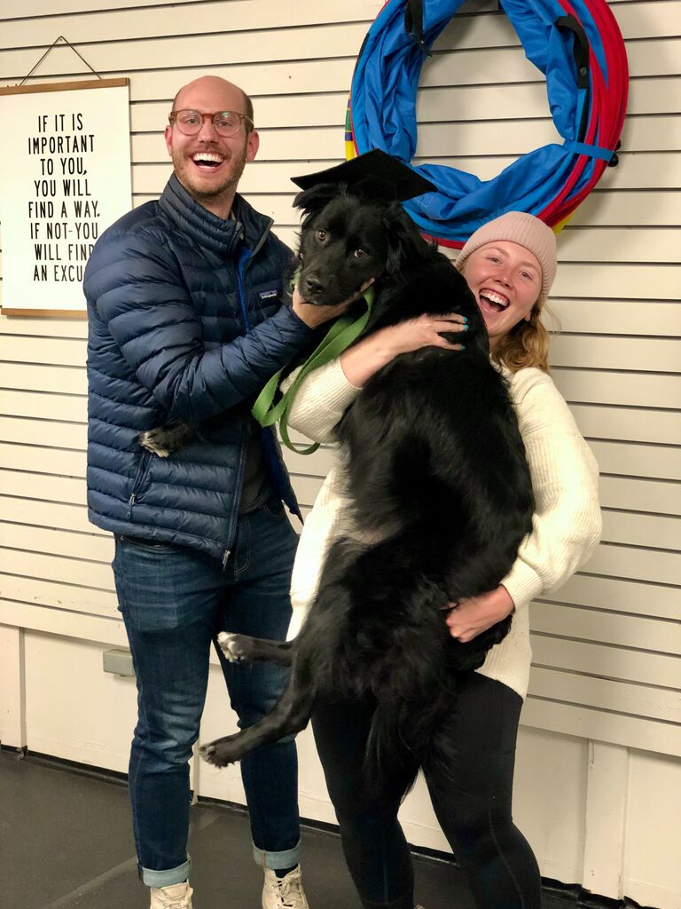 Ever the good boy - Bowie completes his advanced doggy training like the starman he is. 
