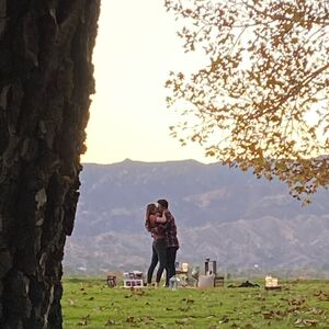 Gallery Photo 3