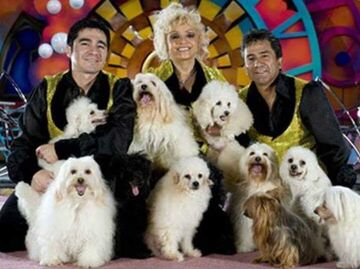 The Olate's Family Dogs - Circus Performer - Sorrento, FL - Hero Main