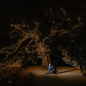Gallery Photo 9