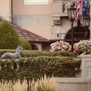 Gallery Photo 255