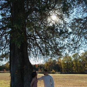 Gallery Photo 8