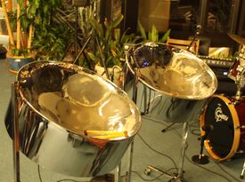 White-Eyed Lizard Band - Steel Drum Band - East Lyme, CT - Hero Gallery 2