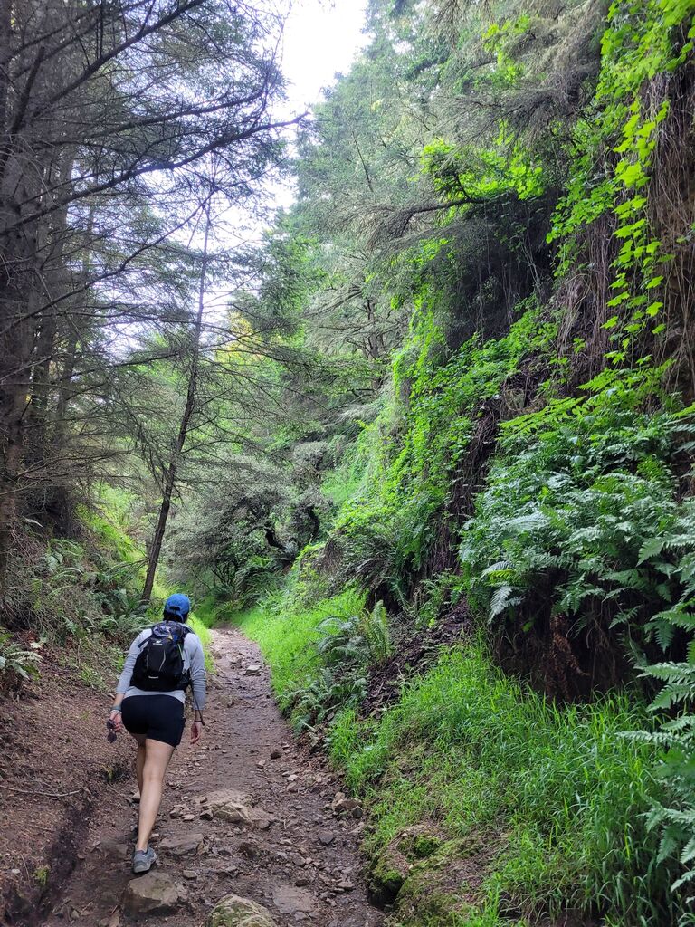 Coast Trail, Point Reyes, CA 