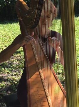 Susan Knapp Thomas, Harpist - Harpist - Hartford, CT - Hero Main