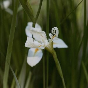 Gallery Photo 29