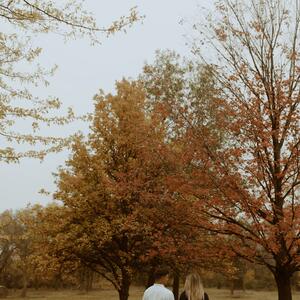 Gallery Photo 28