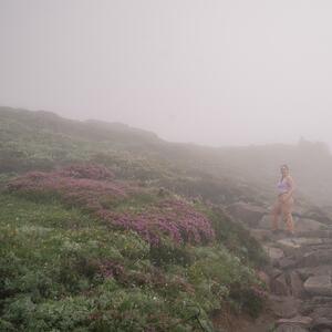 Gallery Photo 50