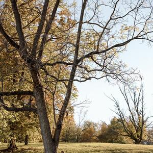 Gallery Photo 34