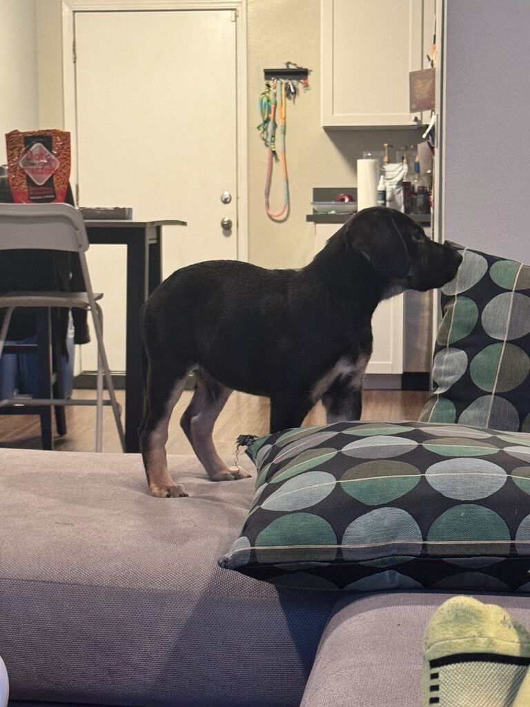 Getting Braver.