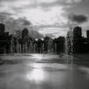 Gallery Photo 7