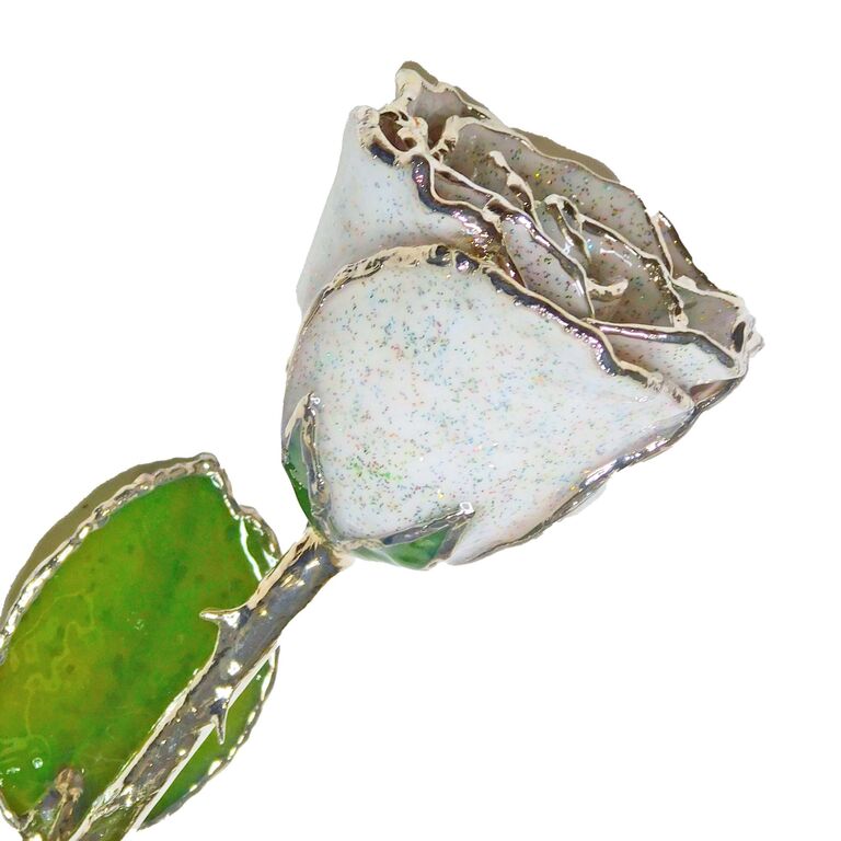 Opal forever rose