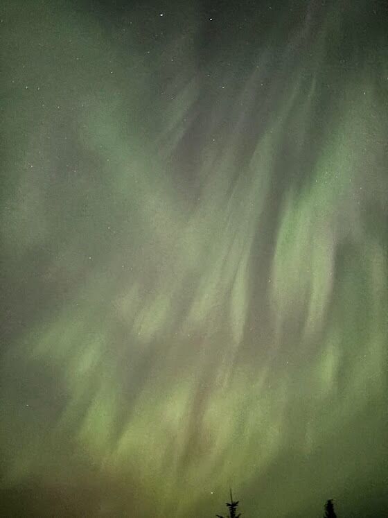 And then the lights came out when we were camping 