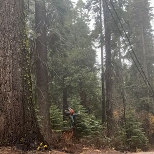 Gallery Photo 19