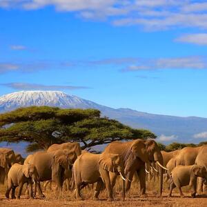 Gallery Photo 1