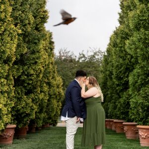 Gallery Photo 22