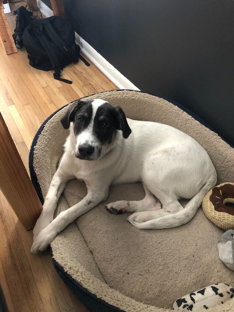 Our Family grew with Mila