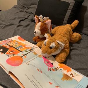 Gallery Photo 28