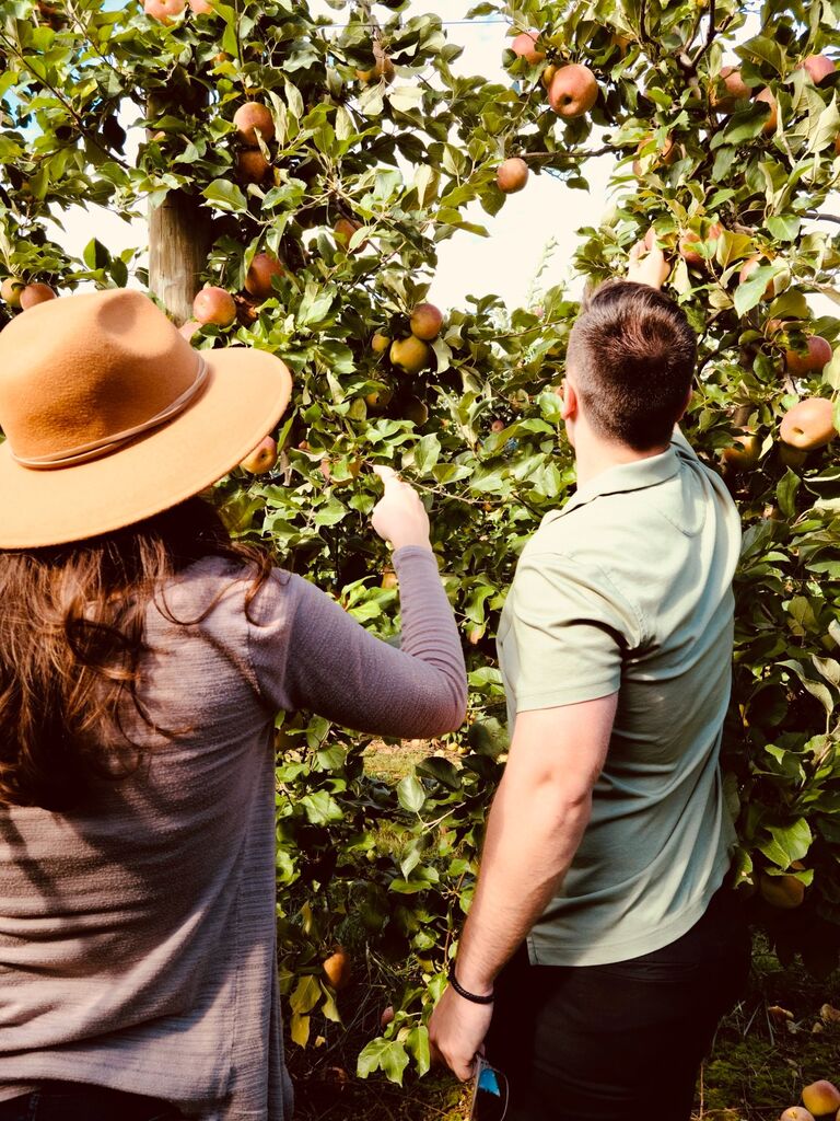 Fall Apple Picking with my parents in the Orchards of Virginia -  Westminster, VA