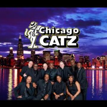 The Chicago Catz - Dance Band - Chicago, IL - Hero Main