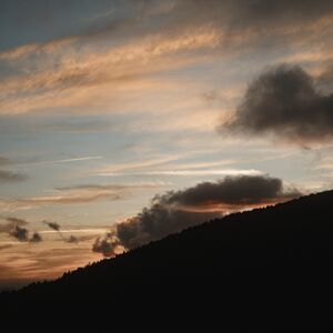 Gallery Photo 30