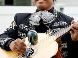 Mariachi Sol Mixteco - Mariachi Band - White Plains, NY - Hero Gallery 2