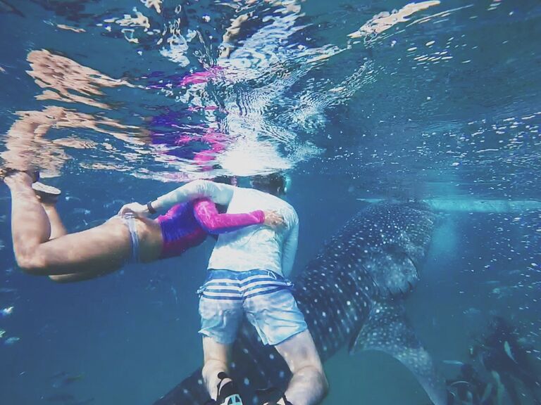 Swimming with whale sharks in the Philippines! 