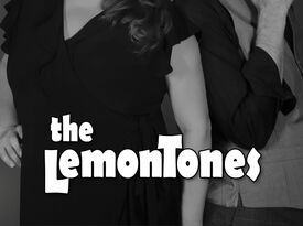 The LemonTones: acoustic guitar and vocal harmony - Acoustic Duo - San Diego, CA - Hero Gallery 2